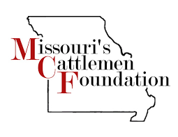 Missouri Cattlemen Foundation Scholarship