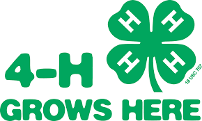 Missouri 4-H Foundation Scholarship-Deadline March 1, 2021